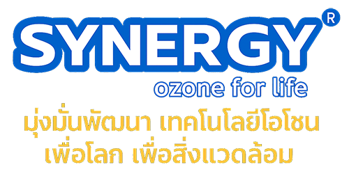 บริษัท ซินเนอร์ยี่ ไลฟ์ จำกัด